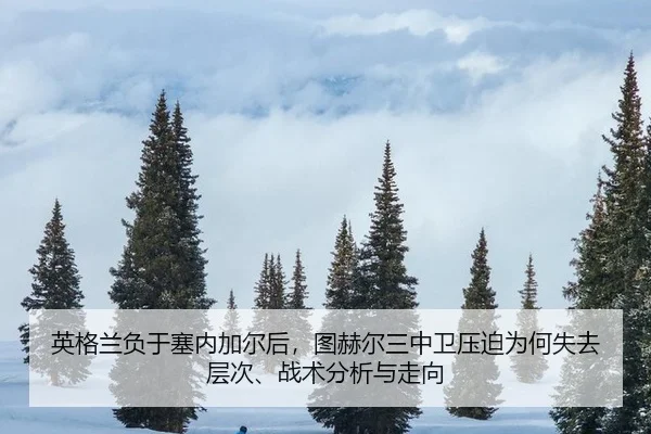 ying-ge-lan-fu-yu-sai-nei-jia-er-hou-tu-he-er-san-zhong-wei-ya-po-wei-he-shi-qu-ceng-ci-zhan-shu-fen-xi-yu-zou-xiang-2-715.jpg