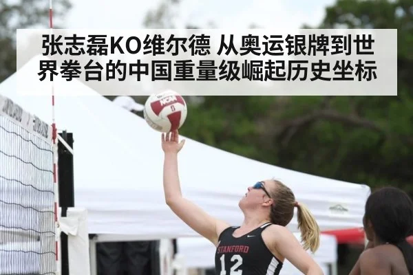 张志磊KO维尔德 从奥运银牌到世界拳台的中国重量级崛起历史坐标